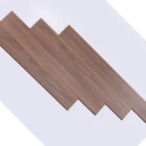 Alternative view of W2208