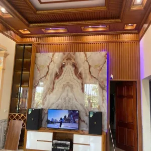 Nhựa Ốp Tường Phòng Khách